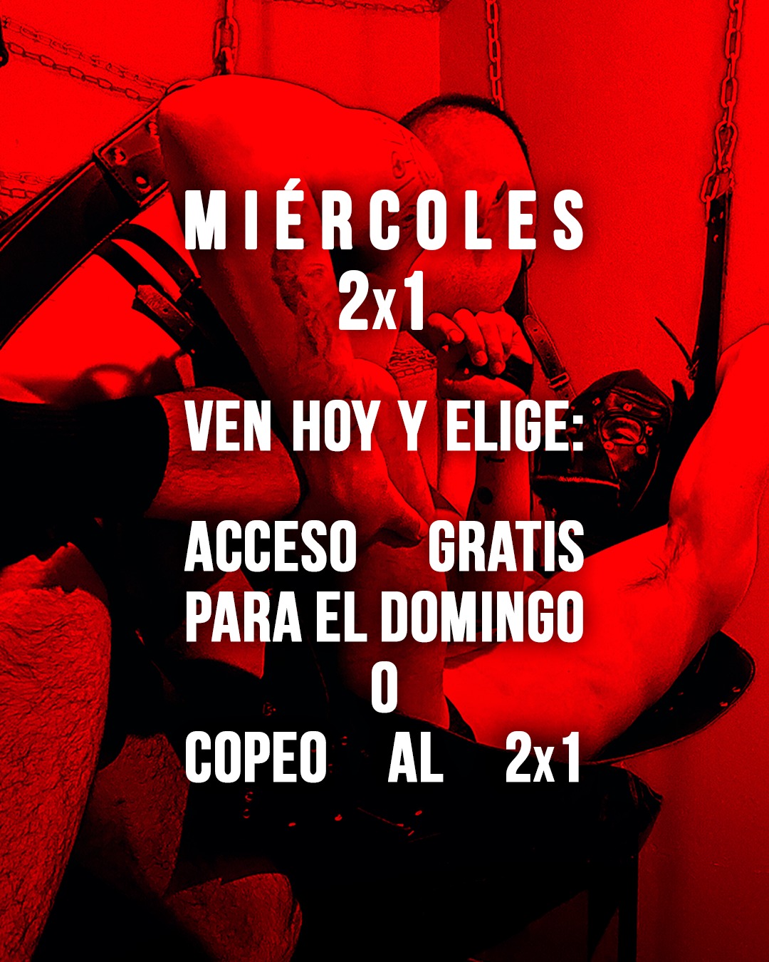 Perros, nuestro miércoles al 2×1 se pone más intenso.
